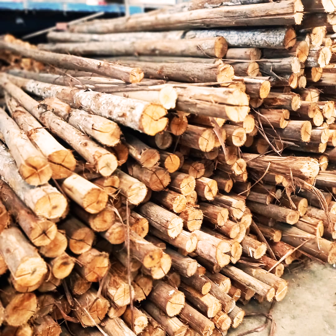 Madeireira em Campinas